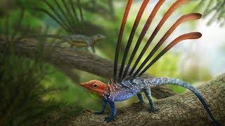 Why do Animals Look so Strange After Mass Extinctions