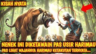 KISAH NYATA! AWALNYA NENEK INI DIKETAWAIN PAS USIR HARIMAU, PAS LIHAT WAJAHNYA HARIMAU KETAKUTAN