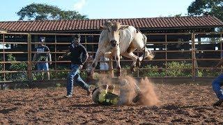 Rodeio em touros | Treino na Cia. GRUPO PERA #1