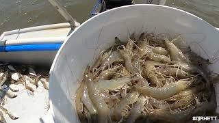 Explore Houma with DJ Rhett (Faith Family Shrimp Co.)