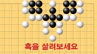 바둑 사활 - 끝내주는 묘수로 흑을 살려보세요