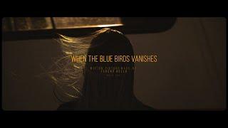 When the blue birds vanishes - Burning ( 2018) Fan short film / Sony A7 III Cinematic