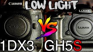 Lumix GH5S vs Canon 1DX3 | Low Light