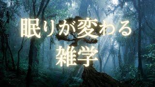 心と体を開放する睡眠導入雑学 | とろけるほど快眠