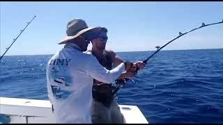 Another 2020 Marlin release with CR Fishing Charters