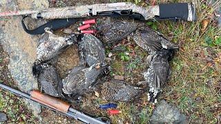 7 GROUSE in 3 MINUTES !(8 total)  October Newfoundland Grouse Hunt