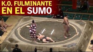 El KO más angustioso de la historia del sumo: ¡100% grogui! | Diario AS