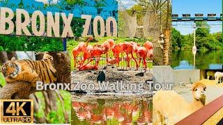 Exploring the Bronx Zoo 2023: A 4K Walking Tour on a Free Admission Day