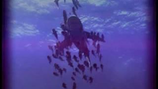 Jean Michel Jarre - Waiting for Cousteau