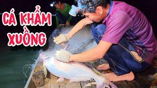 Rất Nhiều Cá Cho Đêm Nay, Lưới Nhỏ Bắt Cá Nhỏ , Lưới Lớn Bắt Cá Lớn | #66TV #fishing