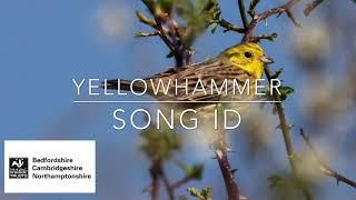 Bird song ID: Yellowhammer