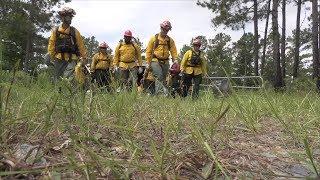 Forestry Commission Rangers Train Hard To Fight Fires and Protect Property