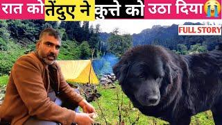 उत्तराखंड से लेकर आए थे DOG पर तेंदुए ने आधी रात को उठा लिया उसे . NIGHT CAMPING IN RAIN & COLD 