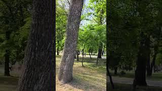 Гуляю по Краснодару