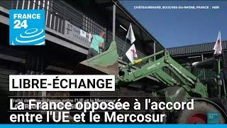 Libre-échange entre l'UE et le Mercosur : la France opposée à l'accord • FRANCE 24