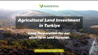 Agricultural Land Investment in Turkiye #farmland #investfarmland #investinturkey #invest