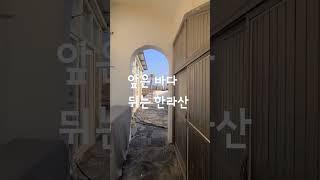 제주도 해안도로 상가주택 매매 13억5천 주차편리 영구조망권