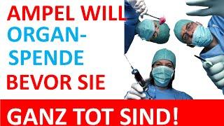 Leber, Herz und Niere raus, wenn Sie noch leben?