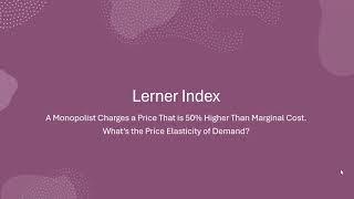 Lerner Index  Problem