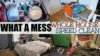 WHAT A MESS / MESSY, WHOLE HOUSE CLEAN / SPEED CLEAN WITH ME