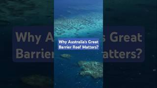 Find out why Australia's Great Barrier Reef matters. #australia #greatbarrierreef #travel #facts