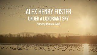 Alex Henry Foster - Under a Luxuriant Sky [Official Lyric Video]