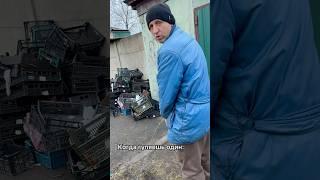 Когда гуляешь один #юмор #рек #приколы