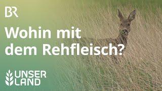 Bockjagd: Wohin mit dem Rehfleisch? | Unser Land | BR Fernsehen