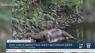 A deadly threat: How one virus is decimating deer herds in Western Michigan