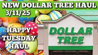 NEW DOLLAR TREE HAUL 3/11/25