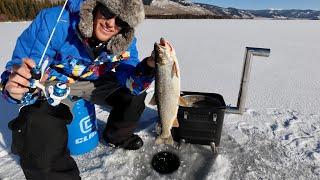 Catch n' Cook TROUT on the Ice!! 2 Day EPIC Vlog On The Hard Deck!