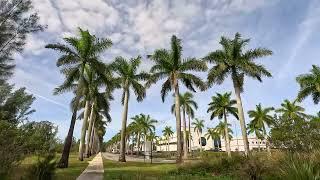 Dec 29 The Everglades, Coral Springs, Florida (23F10F34-1.41)