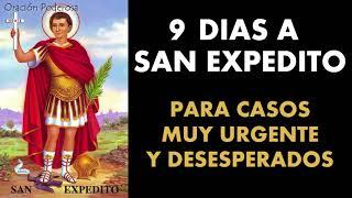 9 días a San Expedito para casos muy urgentes y desesperados