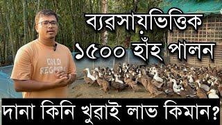 ২০১৬ চনৰে পৰা ব্যৱসায়ভিত্তিক হাঁহ পালন৷ Duck farm in Assam। Duck Farming।Duck farm।Pranjal Gogoi