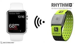 How To Connect Apple Watch to The Scosche Rhythm+ For More Accurate and Reliable Heart Rate Readings