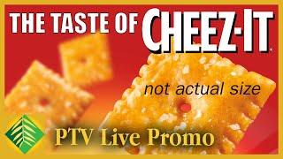 The Taste of Cheez-It | PTV Promo | Pepper Tree Villa