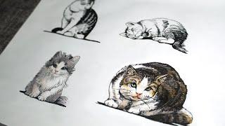 【柯小逸】画个猫咪 手绘练习过程 Draw cat