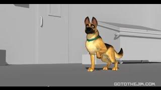 Dog animation test