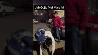 Jab Gujju Met Marathi | #shorts | Amdavadi Man | #amdavadiman | Kushal Mistry in Mumbai