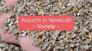 #Vermiculit hat für die #Anzucht von Pflanzen viele Vorteile  Welche das sind, findest du im Video!