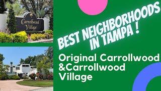 Best Neighborhoods in Tampa | Original Carrollwood and Carrollwood Village