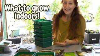 How many seeds to plant per ROCKWOOL // Hydroponic garden tower for indoor GARDENING. Tower Garden.