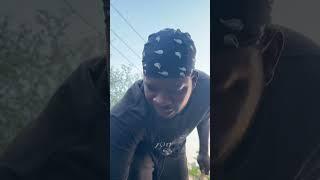 TRAP GONE WRONG #recommendation