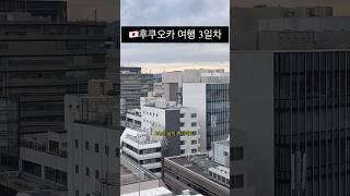 일본 스티커사진,가챠,모츠나베맛집 4박5일 3일차 후쿠오카여행 신혼부부여행