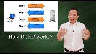 How DHCP works?
