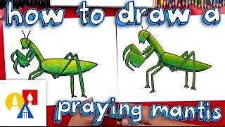 How To Draw A Praying Mantis