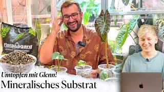 Know-How vom Profi: Mein erstes Mal mineralisches Substrat! 🪴 @crazyplantboy