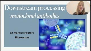 Case study  - downstream processing of monoclonal antibodies produced in bioreactors