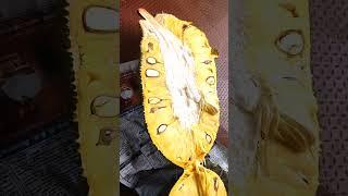 jackfruit