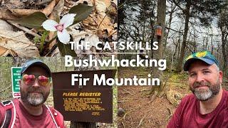 Hiking Fir Mountain - Bushwhacking one of the Catskills 3500 Trailless Peaks